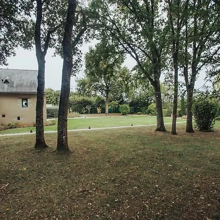 De Charme, Belle-beille アンジェ